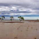 Wastelands